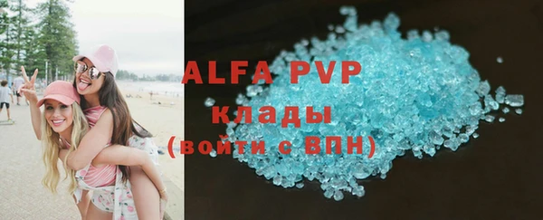 гидра Алексин