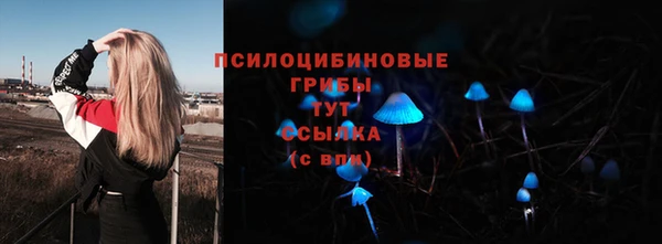 ECSTASY Абаза