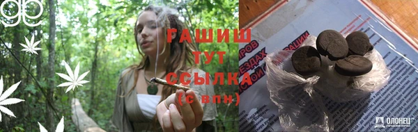 СК Алзамай