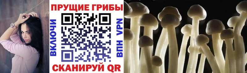 Галлюциногенные грибы Magic Shrooms  Оханск 